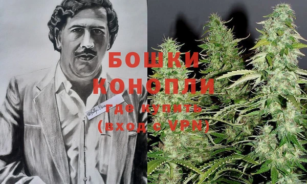 Альфа ПВП Аркадак