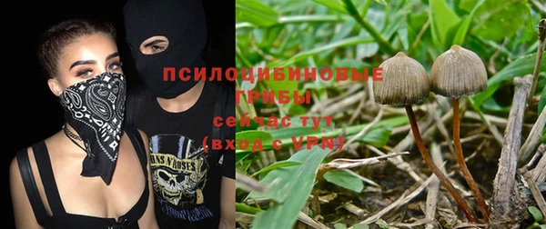 гашик Армянск