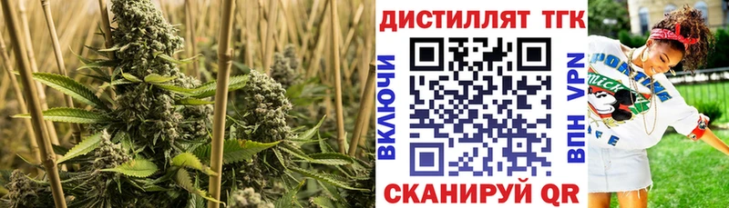 Дистиллят ТГК вейп  Киров 