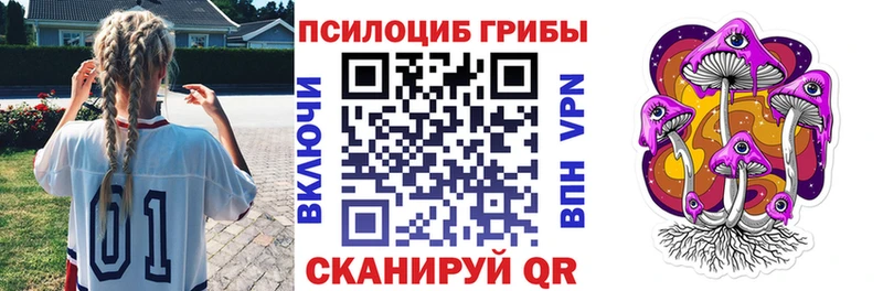 Псилоцибиновые грибы GOLDEN TEACHER  как найти наркотики  Киров 